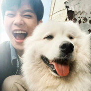 他和海水一样咸