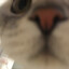 krlmlnk