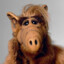 ALF