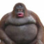 ᵇᶦᵍᵐᵒⁿᵏᵉʸ