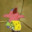 cooterkiller69 avatar