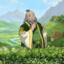 Uncle Iroh