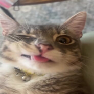 лучший в мире