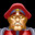 Amadeu M. Bison