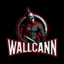 Wallcann