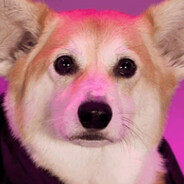Boops