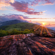 御姐身体检查官