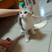 无敌巨帅李佳朋