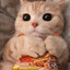 Avatar of _snack