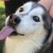 Avatar |I.C.E.| DioR