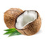 Kokosnöten
