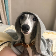 МИИЧКА