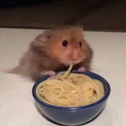 HAMSTER
