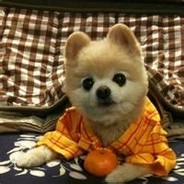 月月丛里觅知音