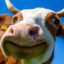 SirDanTheCow