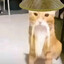 哈吉米大师