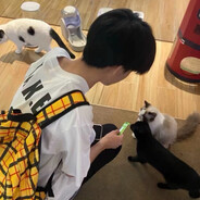 青青草原狼大王