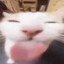 YouMean's avatar