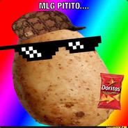 KolloTB avatar