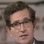 bratty noam chomsky