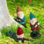 hanging_with_my_gnomies