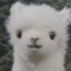 甯亦