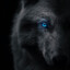 Fenrir