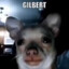 Gilbert