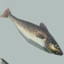 vertikal rotierender fisch