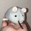 Mortemo
