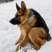 Стасик Пуля