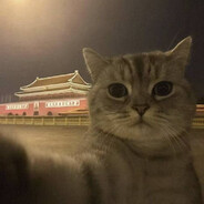 手脚打架为了手赢打脚