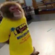 ⚡⚡MANDEM TESLA⚡⚡