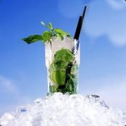 mojito