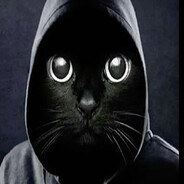 vvw 🐾 avatar