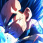 VEGETA-