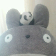 Zongxin