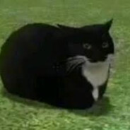 Carl :]