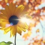 有挂，也打不中