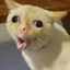 ุ