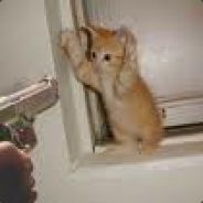 Shonuff - steam id 76561197961892111