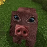 Steam Avatar