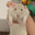 Country Mouse