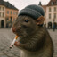 Town Rat