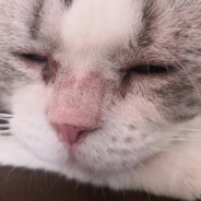 她说是二战炸黑的