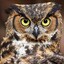 Just_an_Owl