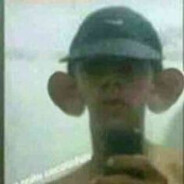 Толя мультидвиж