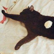 好看但是我不喜欢