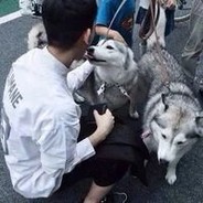 伯乐看了都说好马