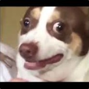 Mr.Bubz